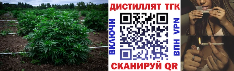 ТГК гашишное масло хочу наркоту Новочеркасск