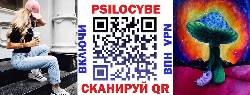 Галлюциногенные грибы Psilocybe  купить наркоту  Новочеркасск 